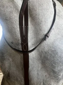 Outlet Martingale Enrênements·Martingale