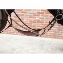 Online Martingale australienne avec bavette biothane - Enrênements·Martingale