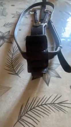 Hot Martingale, cheval Enrênements·Martingale