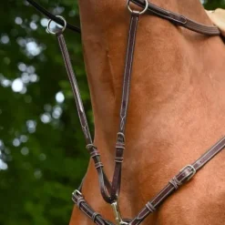 Martingale de Collier Monday et Tuesday Enrênements·Martingale