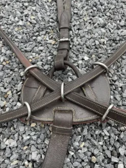 New Martingale Dy’on Enrênements·Martingale