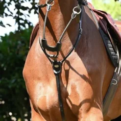 New Martingale élastique à anneaux - Jump'in Enrênements·Martingale