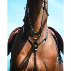 New Martingale élastique à anneaux - Jump'in Enrênements·Martingale