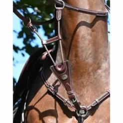 Sale Martingale élastique de collier - Jump'in Enrênements·Martingale