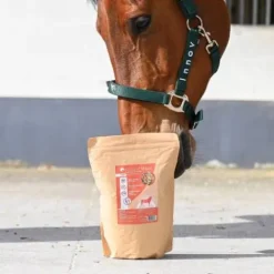 Best Mash pour cheval Natural'Mash - Mash Cheval
