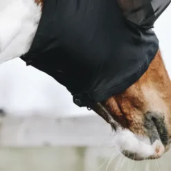 Online Masque anti-mouches Slim Fit - Kentucky Masques Anti-Mouches