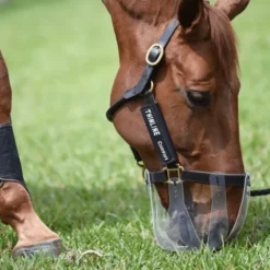 Online Masque anti-pâturage flexible Accessoires D'Écurie·Muselières Cheval