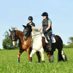 Clearance Masque de Travail Anti-Mouches - Masques Anti-Mouches