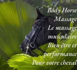 Discount Massage sportif équin Couvertures Et Tapis De Massage