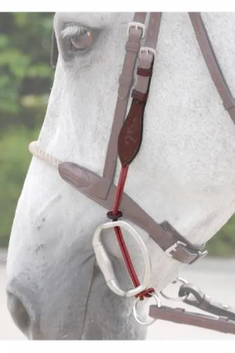 Online Montants de releveur corde fine Dy'on New English Collection Accessoires De Briderie·Montants Releveur