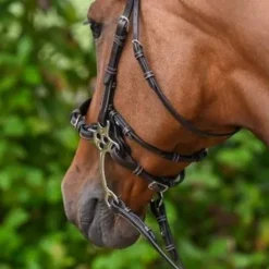 Hot Montants et lanière pour hackamore - Collection Week - Jump'in Accessoires De Briderie·Montants De Bride Et Bridon