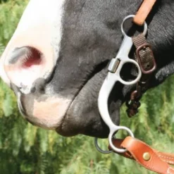 Outlet Mors Bob Avila AVB-122 Mors Western|Mors Et Embouchures