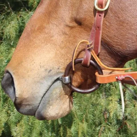 Best Mors de filet Bob Avila AVB -100 Mors Et Embouchures