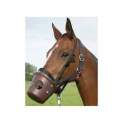 New Muselière plastique - Accessoires D'Écurie·Muselières Cheval