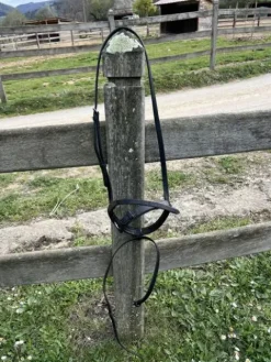 Sale Muserolle Bridons Et Brides·Muserolle