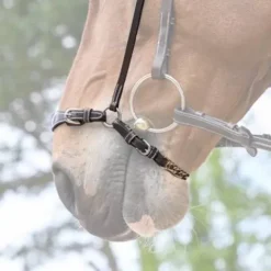New Muserolle allemande à chaîne - Jump'in Bridons Et Brides·Muserolle