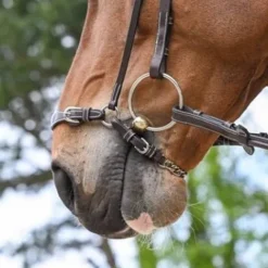 New Muserolle allemande à chaîne - Jump'in Bridons Et Brides·Muserolle