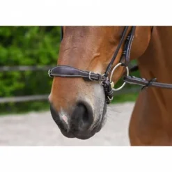 New Muserolle allemande à chaîne - Jump'in Bridons Et Brides·Muserolle