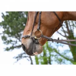 New Muserolle allemande à chaîne - Jump'in Bridons Et Brides·Muserolle