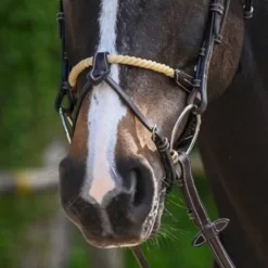 New Muserolle combinée corde - Jump'in Bridons Et Brides·Muserolle