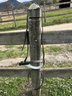 Discount Muserolle combinee Bridons Et Brides·Muserolle