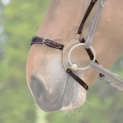 Clearance Muserolle hackamore - Bridons Et Brides·Muserolle