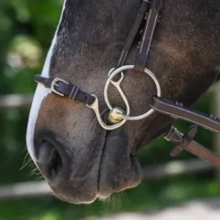 New Muserolle Kineton - Jump'in Bridons Et Brides·Muserolle