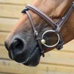 Sale Muserolle London - Collection One Jump'in Bridons Et Brides·Muserolle