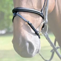 Best Muserolle Monday - Collection Week Jump'In Bridons Et Brides·Muserolle