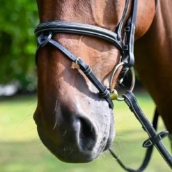 Best Muserolle Monday - Collection Week Jump'In Bridons Et Brides·Muserolle