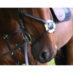 Best Muserolle Monday - Collection Week Jump'In Bridons Et Brides·Muserolle