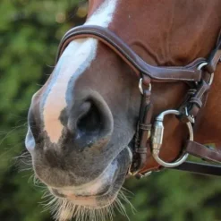 Clearance Muserolle New York - Collection One Jump'in Bridons Et Brides·Muserolle