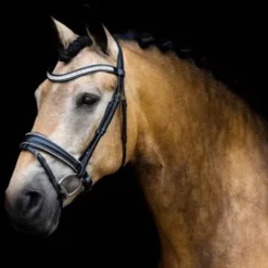 Online Muserolle TINY CRYSTAL ROCKS - Bridons Et Brides·Muserolle