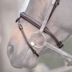 New Muserolle Wednesday - Jump'in Bridons Et Brides·Muserolle