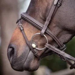 New Muserolle Wednesday - Jump'in Bridons Et Brides·Muserolle