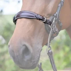 Outlet Nez de hackamore cuir - Jump'in Mors Et Embouchures