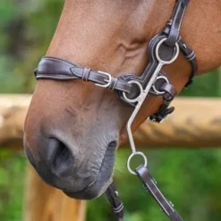 Online Nez de hackamore plombé - Jump'in Mors Et Embouchures