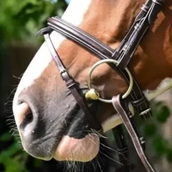 Discount Noseband Jump'in Bridons Et Brides·Muserolle