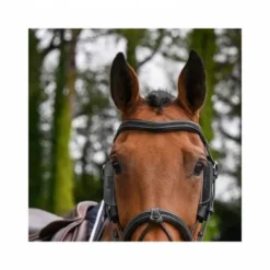 Sale Oeillères Week amovibles noires Jump'in Accessoires De Briderie·Oeillères