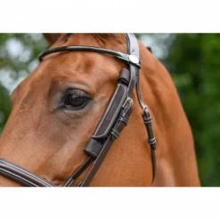 Sale Oeillères Week amovibles noires Jump'in Accessoires De Briderie·Oeillères