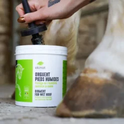 Hot Onguent pieds humides - Produits De Soin Sabots