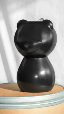 Clearance - Caméra de surveillance intelligente, nomade et sans abonnement Aménagement De L'Écurie·Vidéosurveillance Des Chevaux