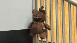 Clearance - Caméra de surveillance intelligente, nomade et sans abonnement Aménagement De L'Écurie·Vidéosurveillance Des Chevaux