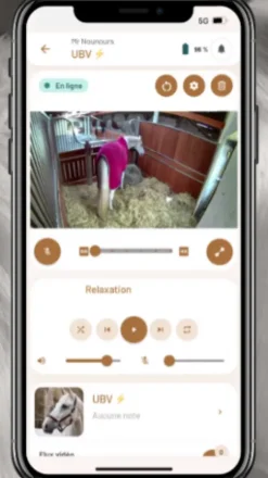 Clearance - Caméra de surveillance intelligente, nomade et sans abonnement Aménagement De L'Écurie·Vidéosurveillance Des Chevaux