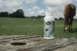 New Oxxygen 500ml - Appareil Respiratoire·Difficultés Respiratoires