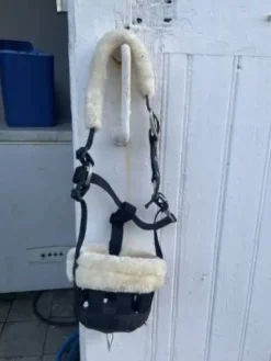 Online Panier pour shetland Accessoires D'Écurie·Muselières Cheval