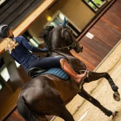 Sale Pantalon d'hiver Lymée Softshell Full Grip - - Déperlant Femme Tenue D'Équitation Femme·Pantalons Femme