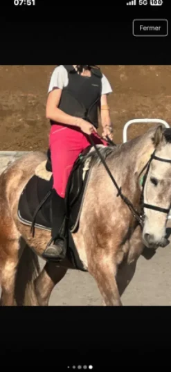 Sale Pantalon rose Fuschia XS Femme Tenue D'Équitation Femme·Pantalons Femme