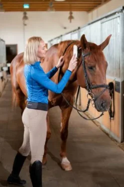 Best Pantalon Femme J Basanes silicone - - Haute performance Femme Tenue D'Équitation Femme·Pantalons Femme