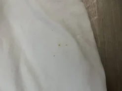 Best pantalons lots 3 Flags & Cup Femme Tenue De Concours Femme·Pantalons De Concours|Tenue D'Équitation Femme·Pantalons Femme